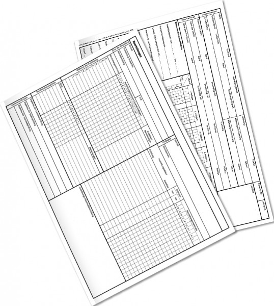 Beurteilungsbogen (Formular 3011)