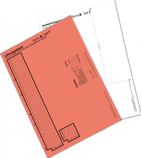 Auswertungsschablone B 7