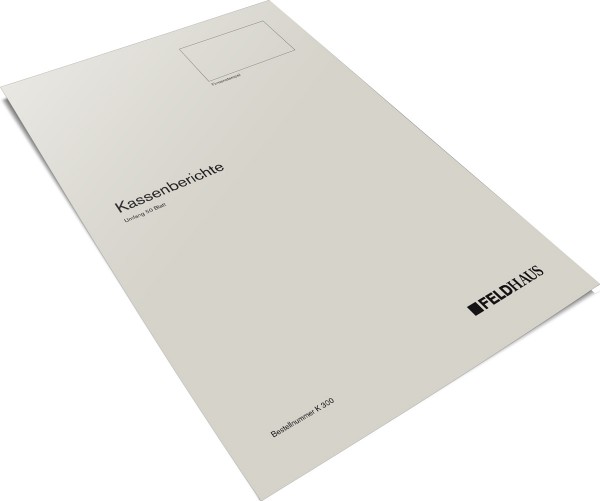 Kassenbericht K 300