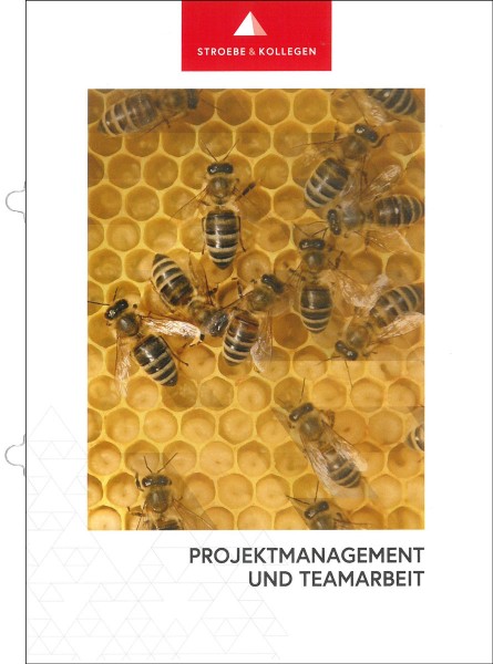 Broschüre »Projektmanagement und Teamarbeit«